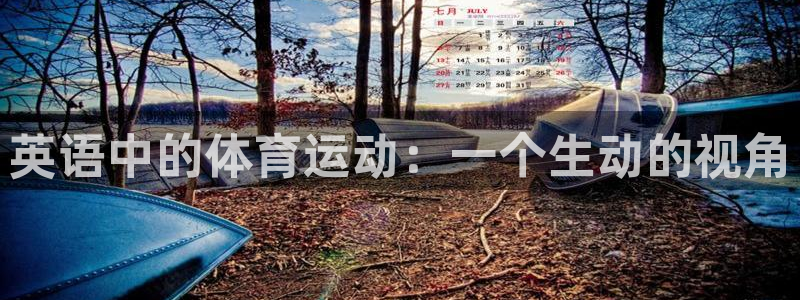 海南米兰体育官网下载发展怎么样:英语中的体育运动:一个生动的